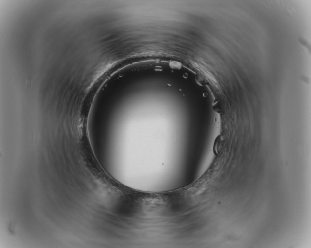 X0000091530160200708171228