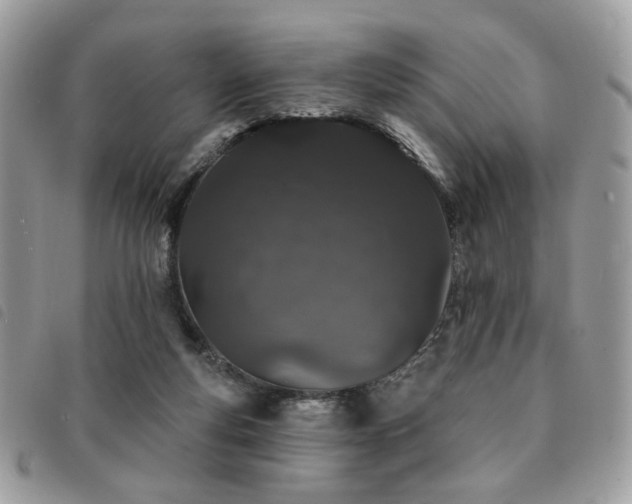 X0000091530163200708171228