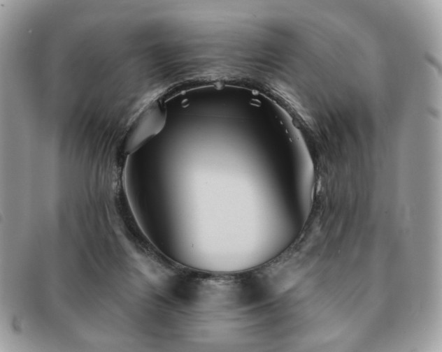 X0000091530164200708171229