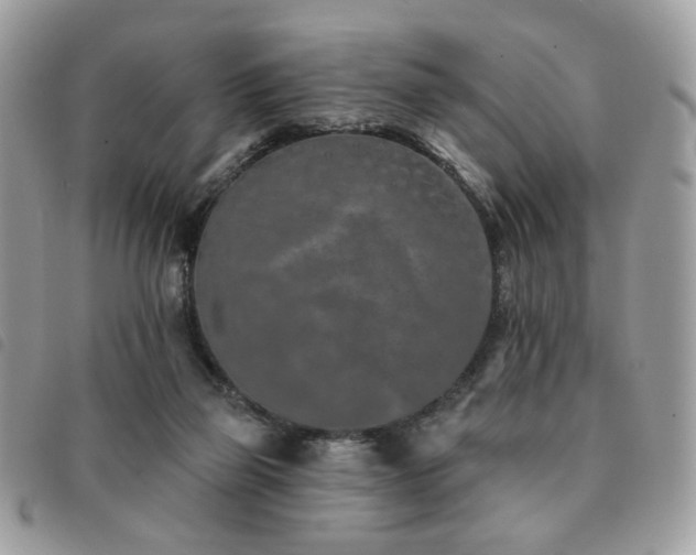 X0000091530165200708171229