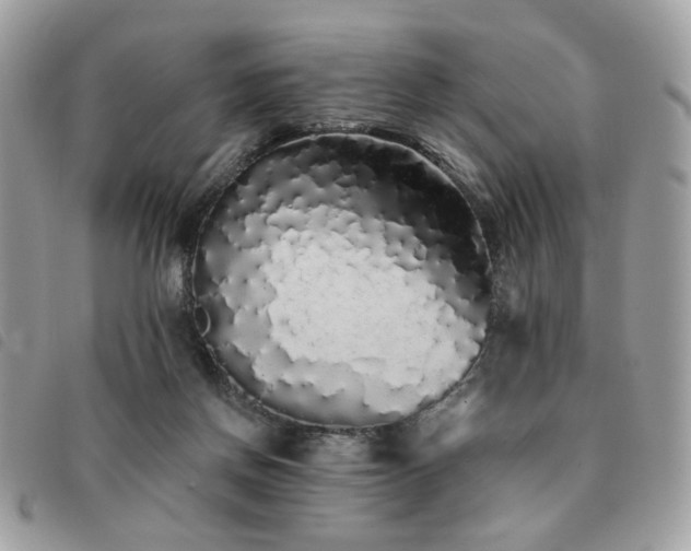 X0000091530166200708171229
