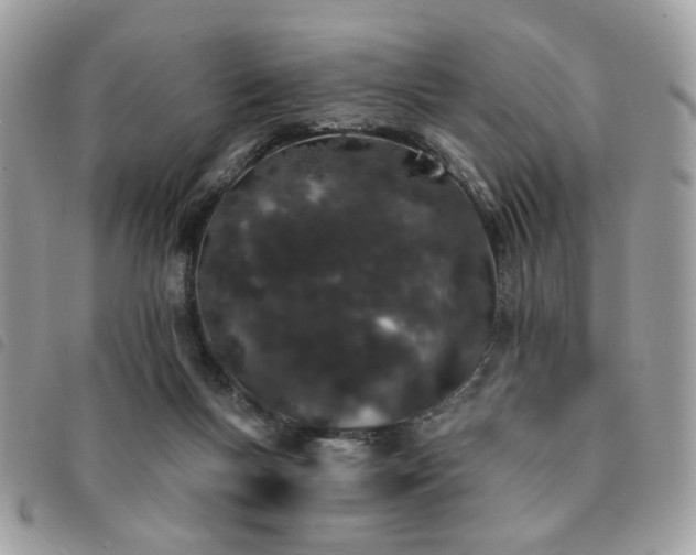 X0000091530167200708171229
