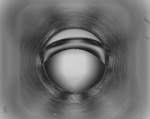 X0000091530168200708171229