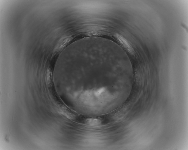 X0000091530169200708171229