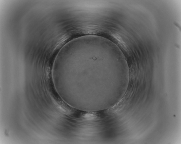 X0000091530171200708171229