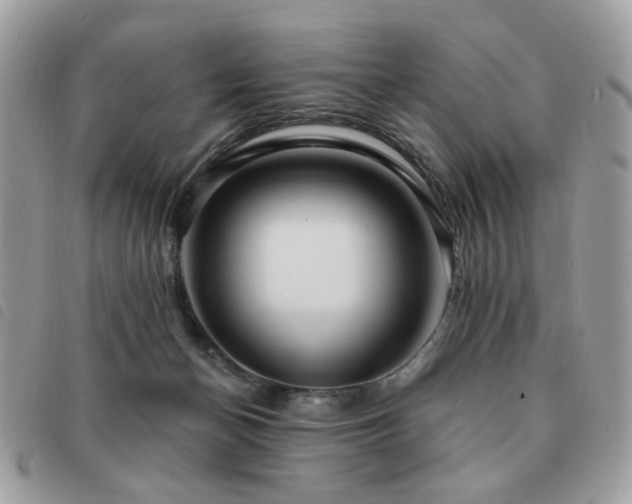 X0000091530174200708171229