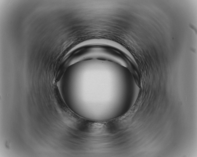X0000091530176200708171229