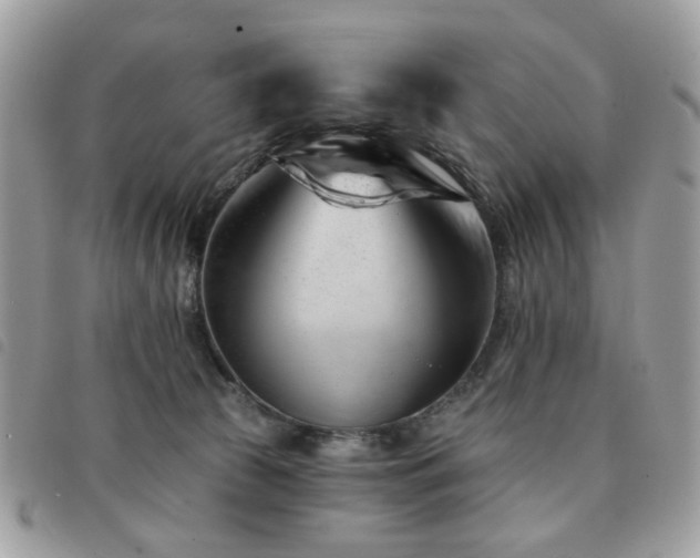 X0000091530177200708171229