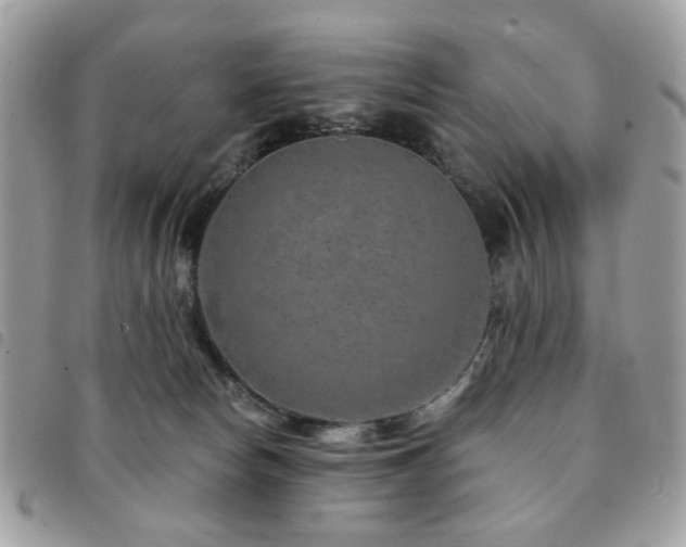 X0000091530178200708171229