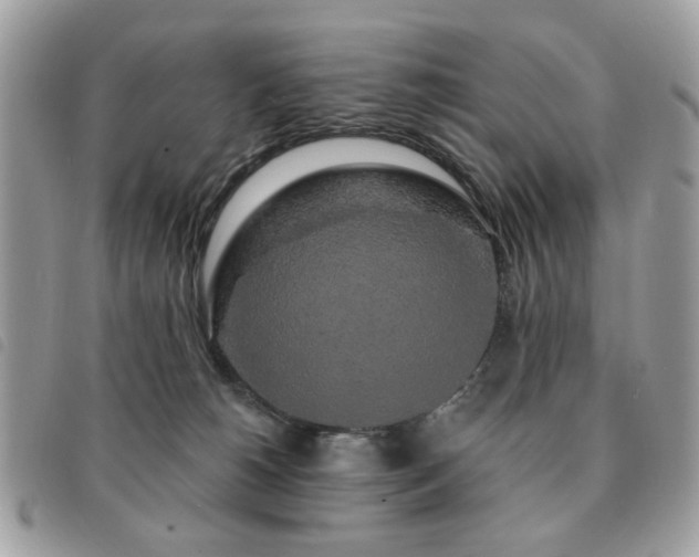 X0000091530180200708171229