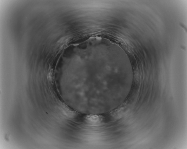 X0000091530181200708171229