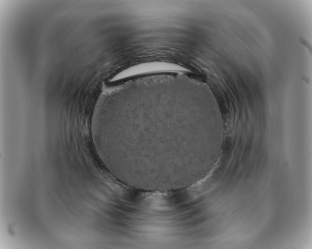 X0000091530182200708171229