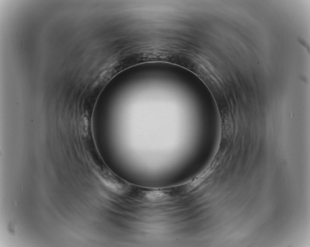 X0000091530183200708171229