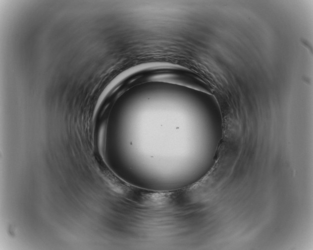 X0000091530184200708171229