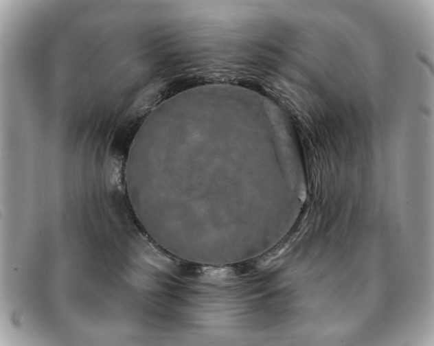 X0000091530185200708171229