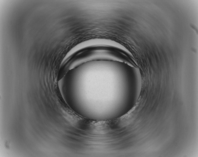 X0000091530186200708171229