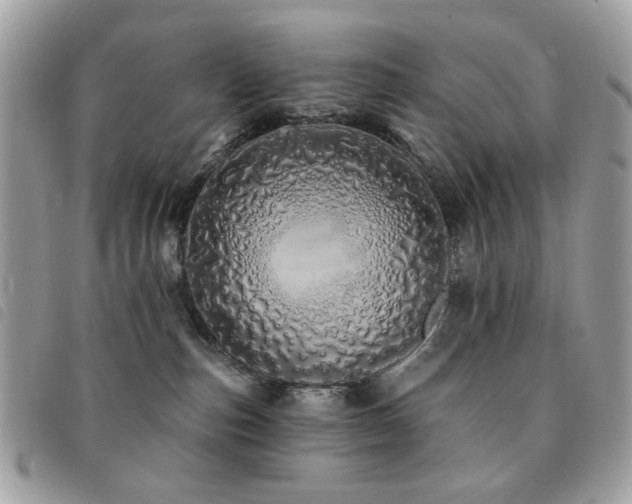 X0000091530187200708171229