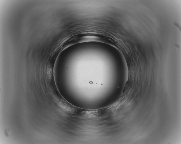 X0000091530188200708171229