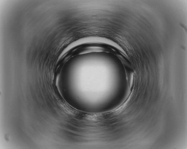 X0000091530190200708171229