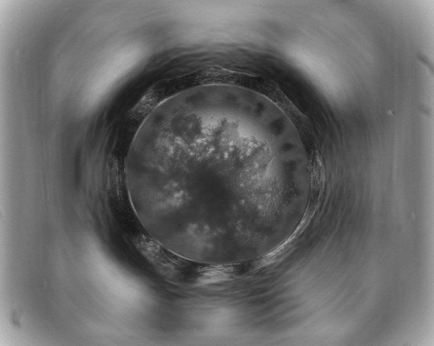 X0000091530191200708171229