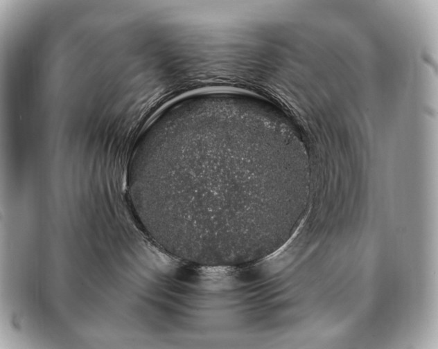 X0000091530192200708171229
