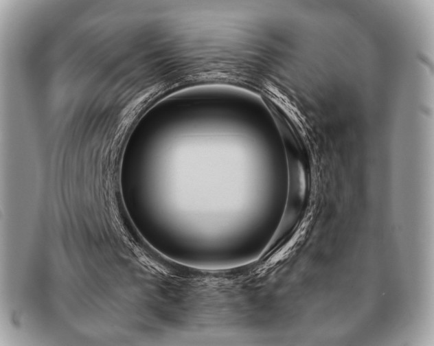 X0000091530193200708171228