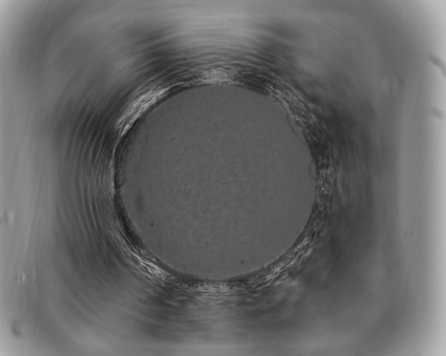 X0000091530194200708171228