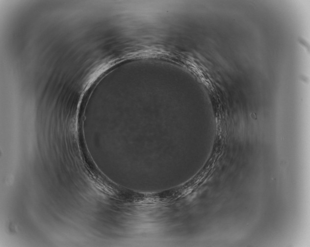 X0000091530196200708171228