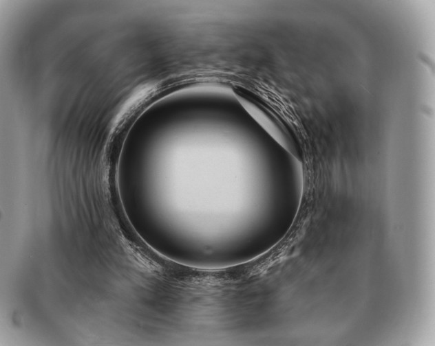 X0000091530197200708171228