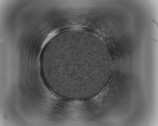 X0000091530198200708171228