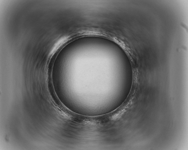 X0000091530199200708171228
