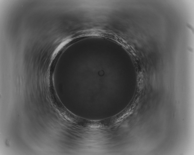 X0000091530200200708171228