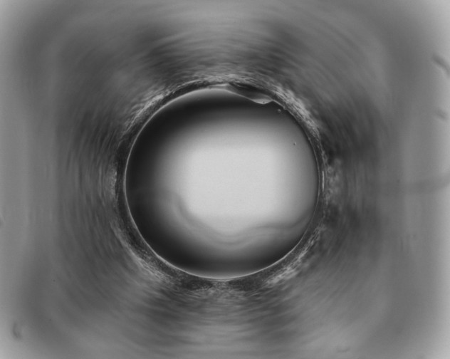 X0000091530201200708171228