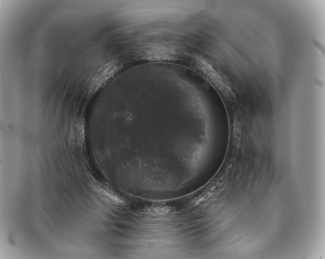 X0000091530202200708171228