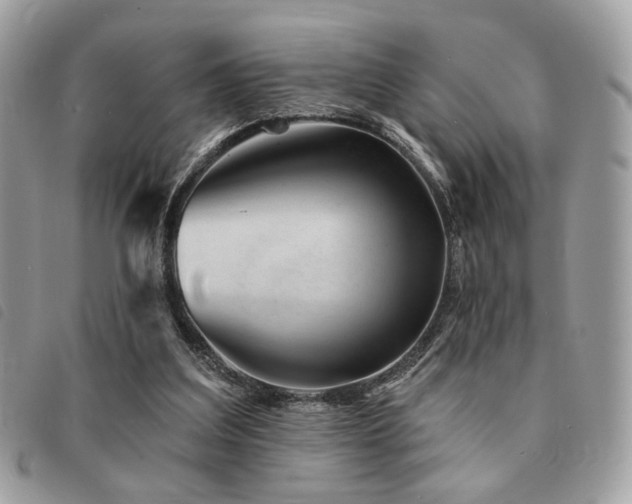 X0000091530203200708171228