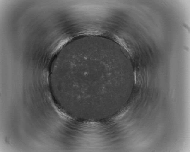 X0000091530205200708171228
