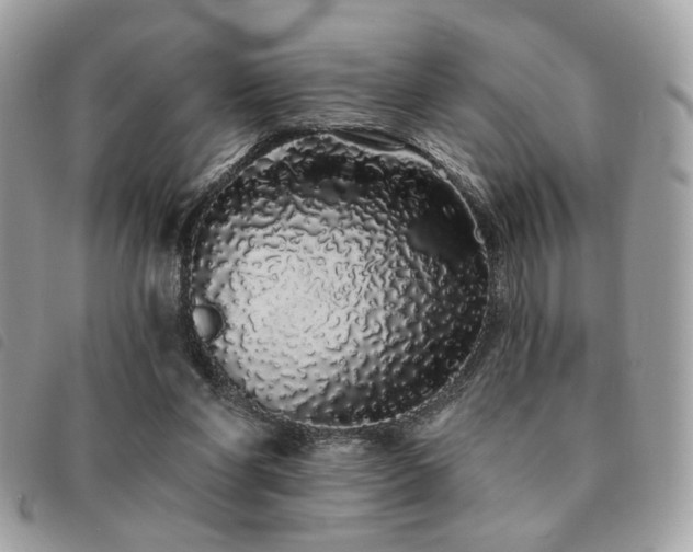 X0000091530206200708171228