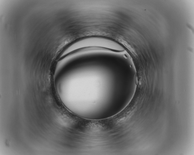 X0000091530207200708171228
