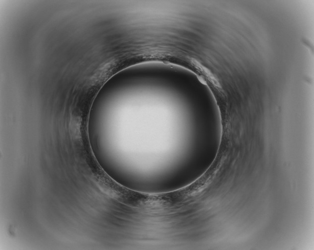 X0000091530209200708171228