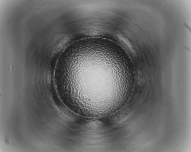 X0000091530210200708171228