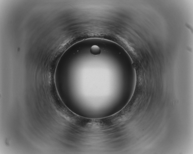 X0000091530211200708171228