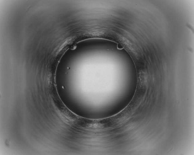 X0000091530212200708171228