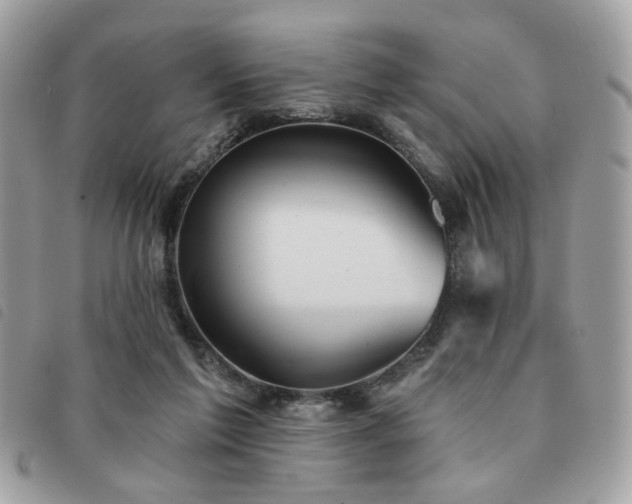 X0000091530213200708171228