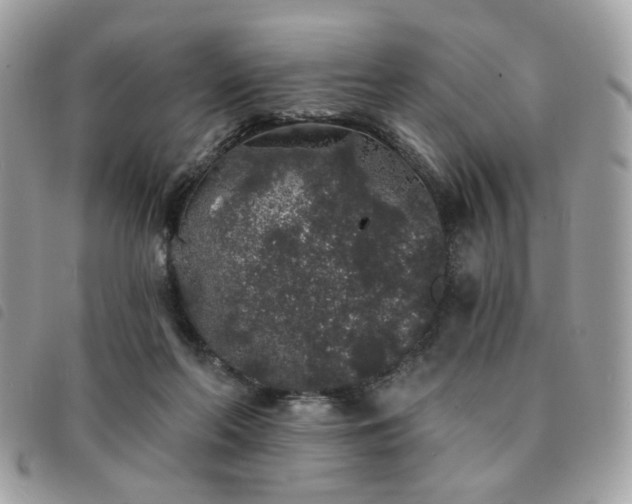 X0000091530214200708171228
