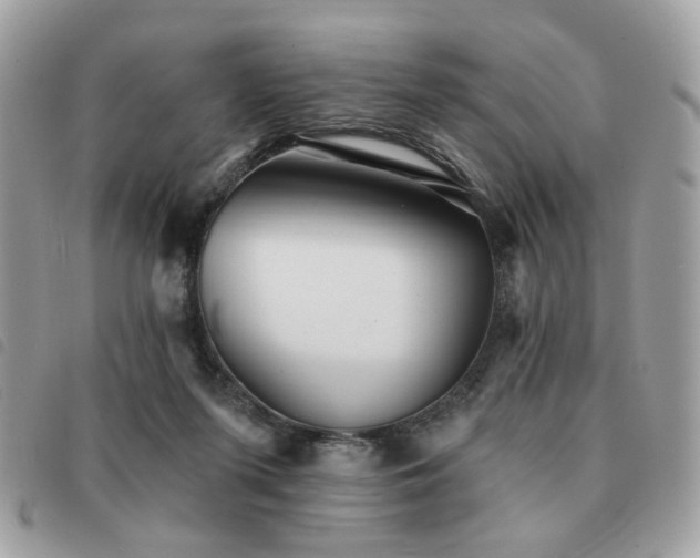 X0000091530215200708171228