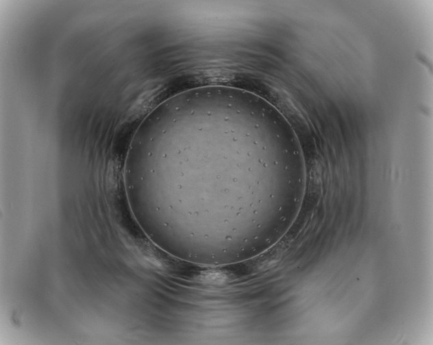 X0000091530218200708171228