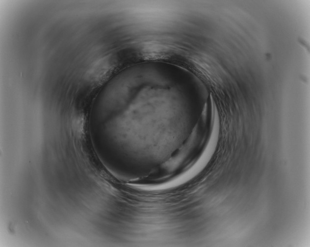 X0000091530219200708171228