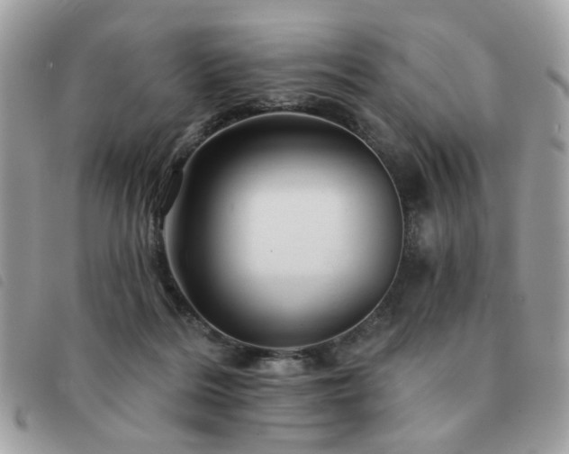 X0000091530220200708171228