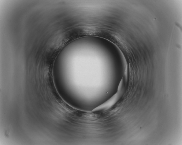 X0000091530221200708171228