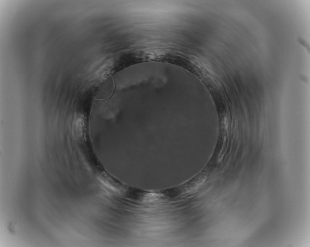 X0000091530222200708171228